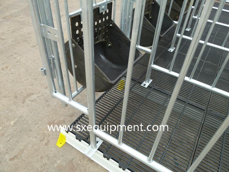 pig gestation stall 15.jpg